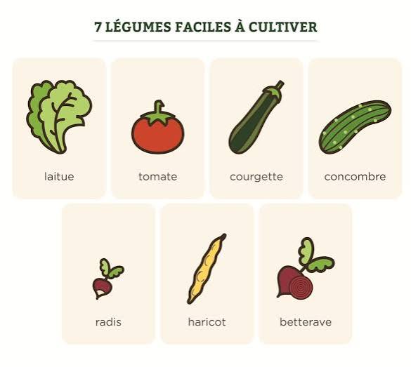 legumes